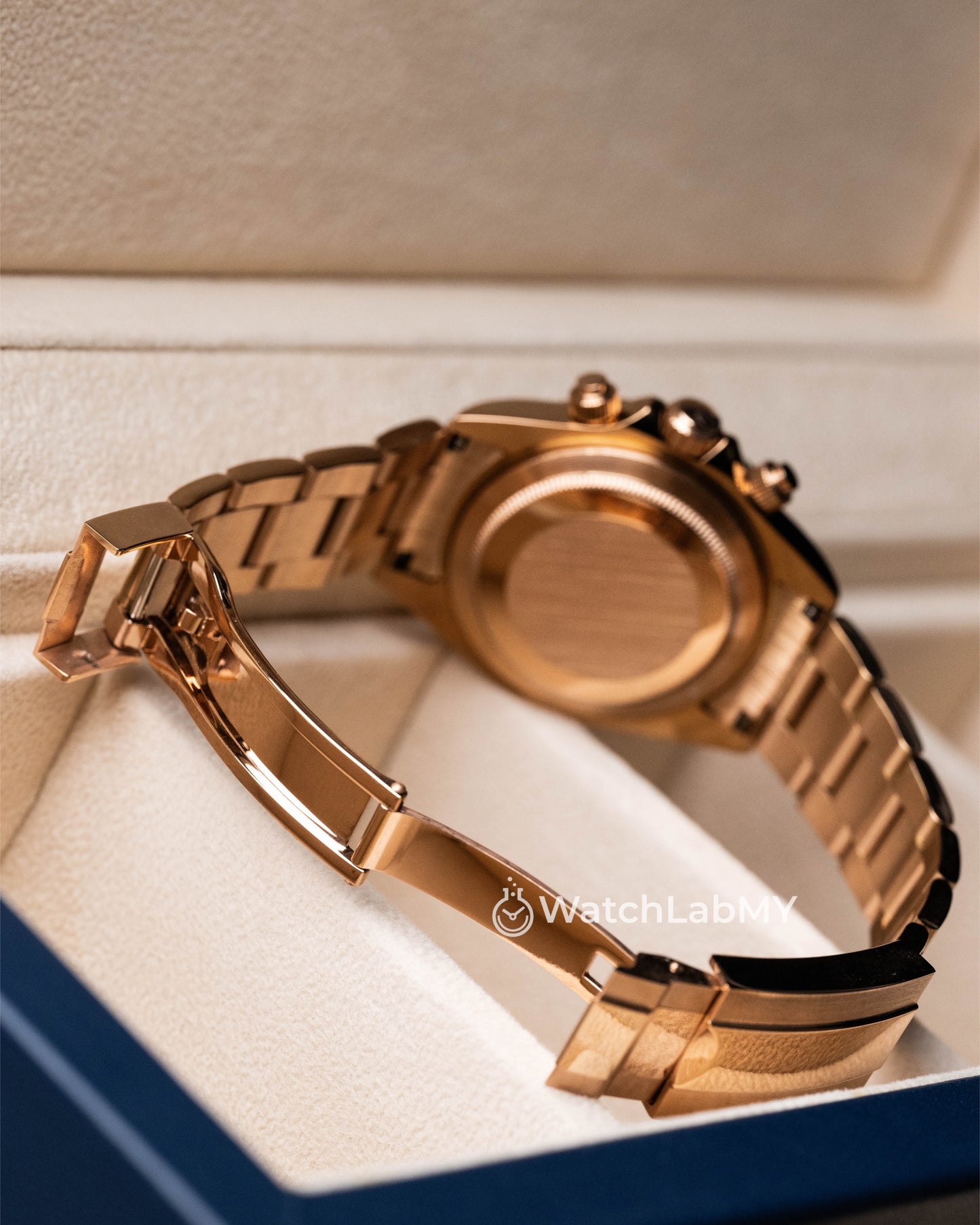 Daytona | Rainbow Rose Gold