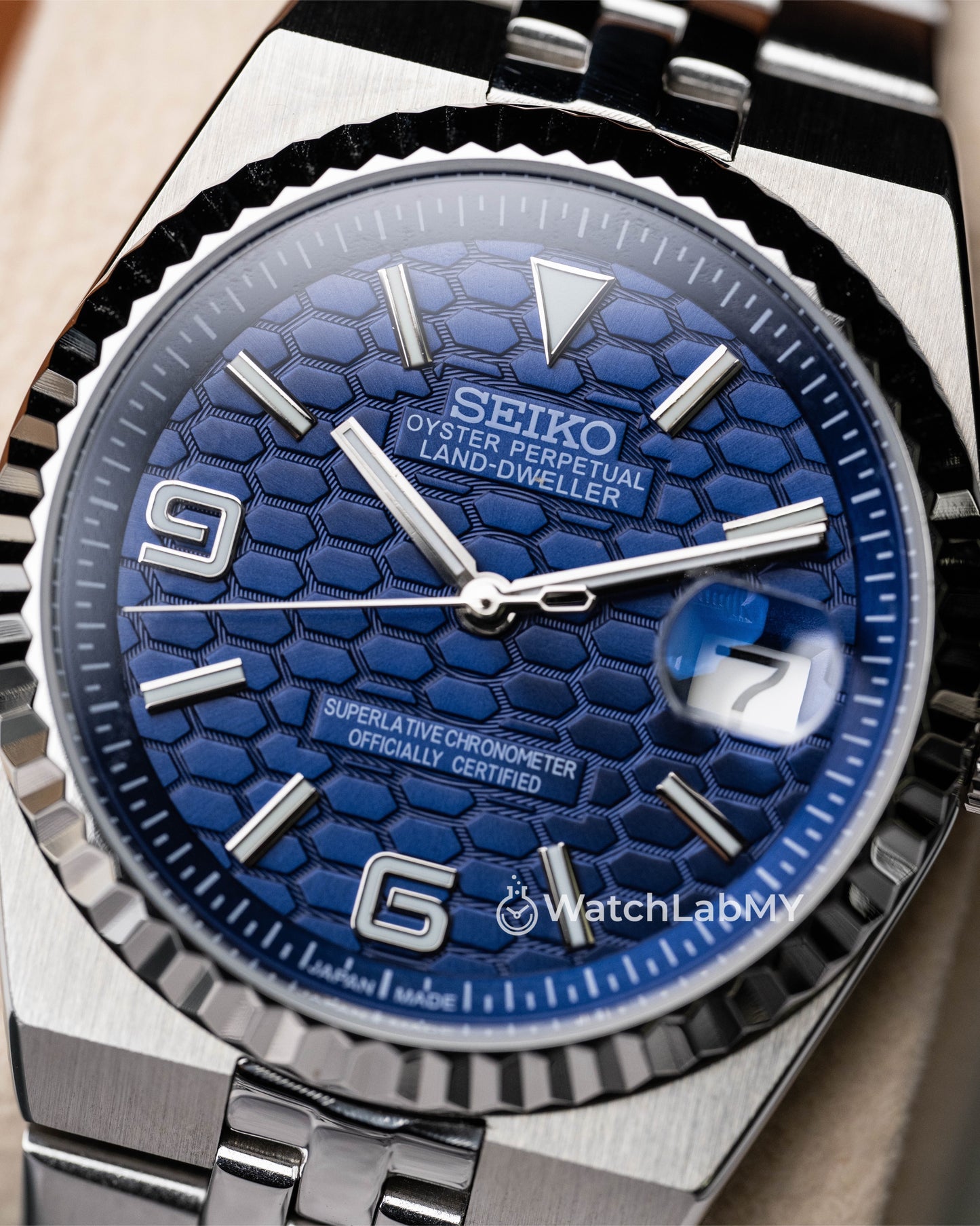 Land Dweller | Dark Blue