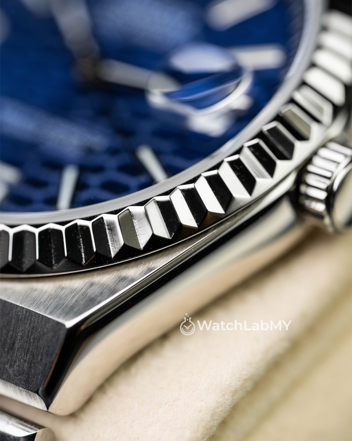 Land Dweller | Dark Blue