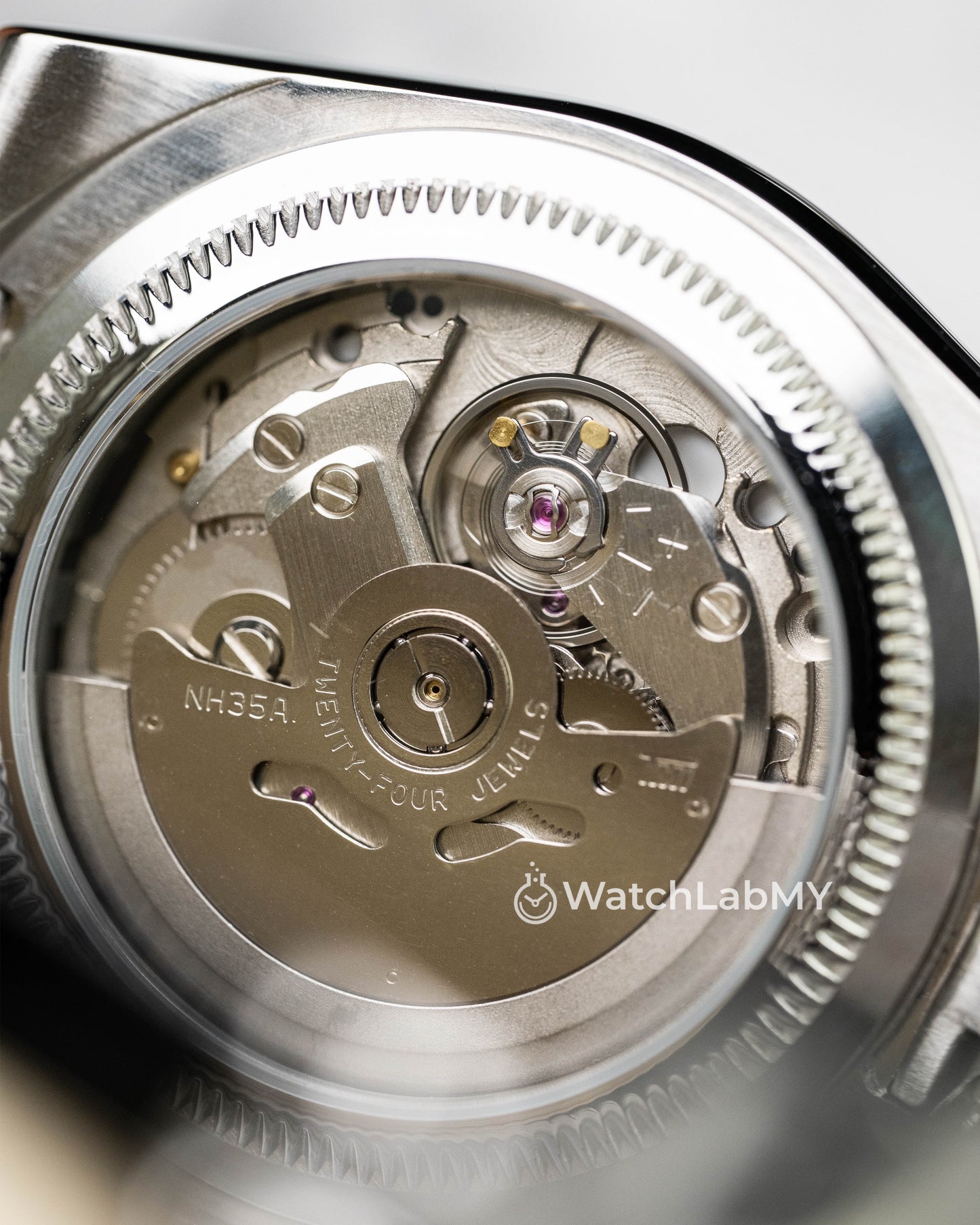 Land Dweller | Dark Blue