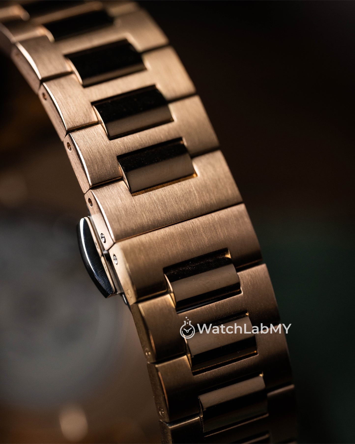 Nautilus | Rose Gold (Open Heart)