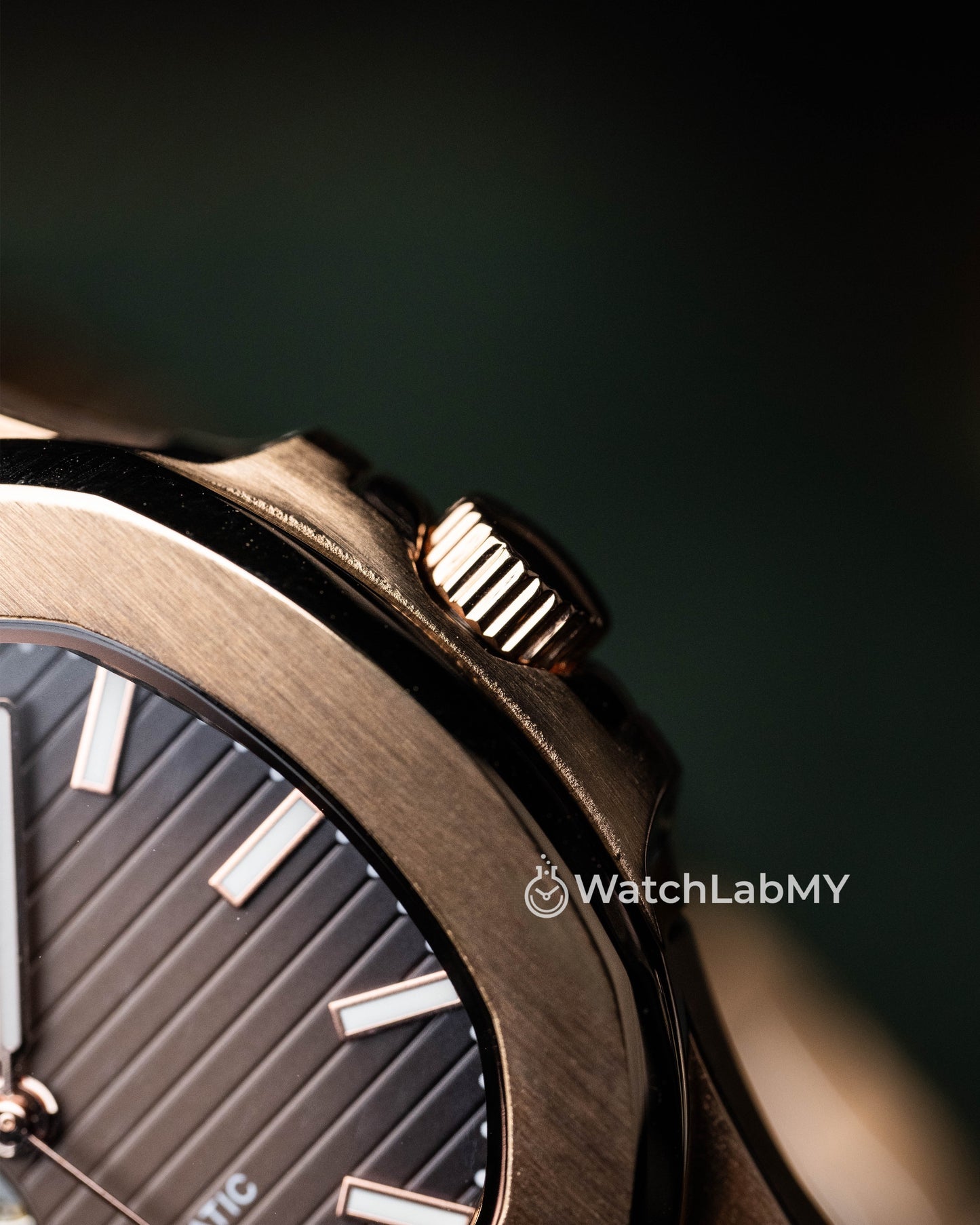 Nautilus | Rose Gold (Open Heart)