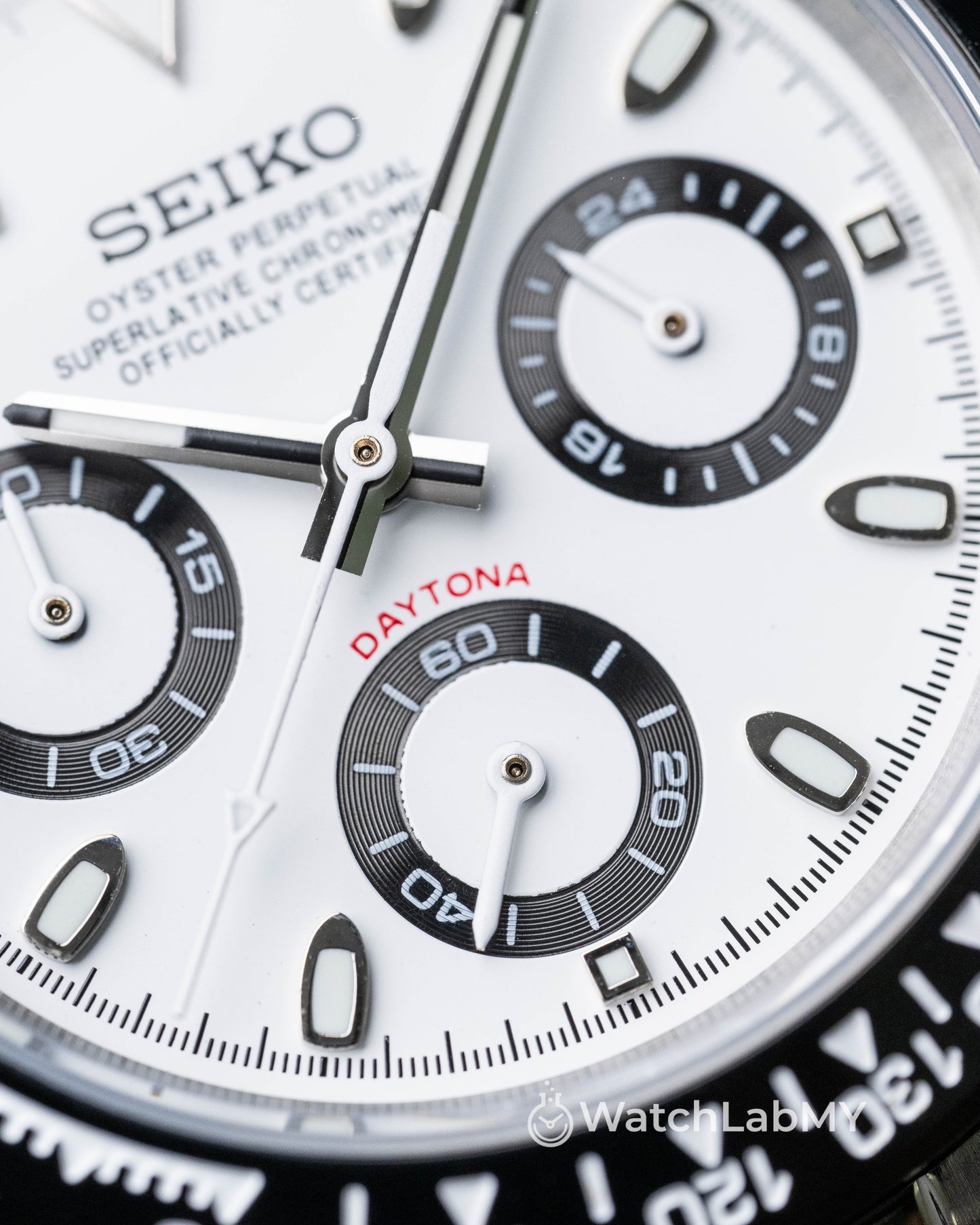 Daytona | White Panda